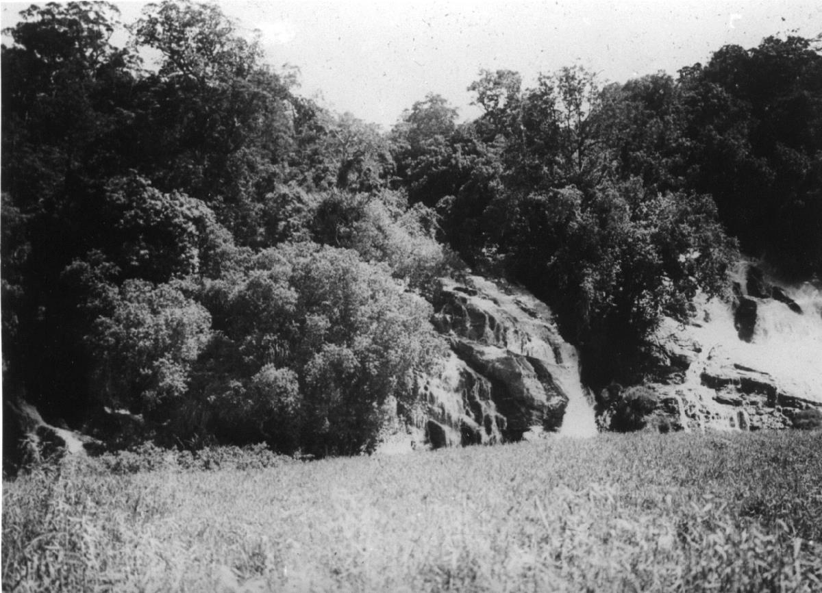 Pangani-Fälle
