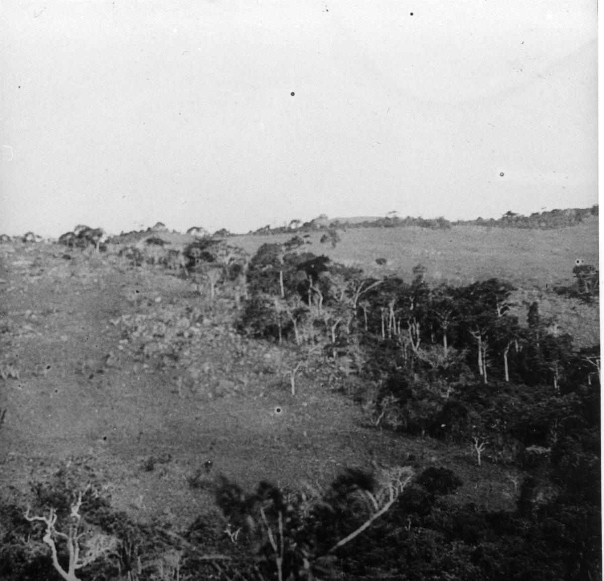 Typisches Graslandbild, bewaldeter Bachlauf