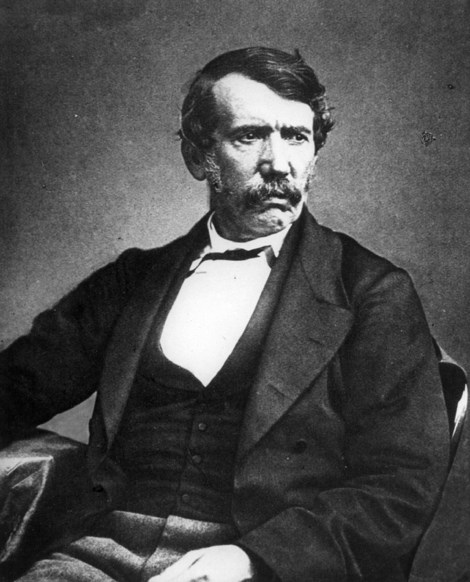 D. Livingstone