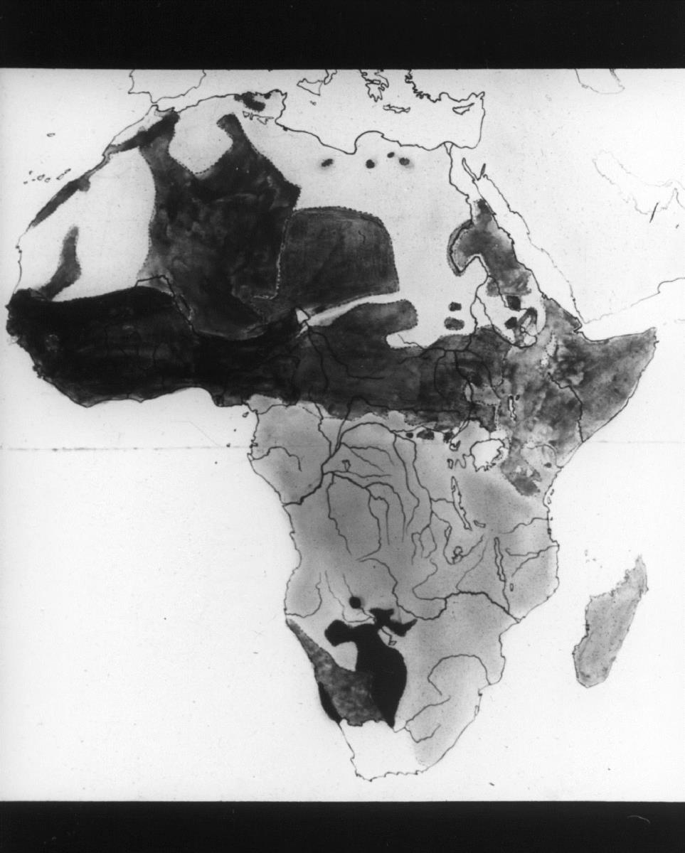 Sprachenkarte von Afrika