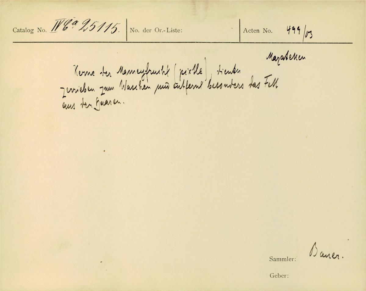 IV Ca 25115