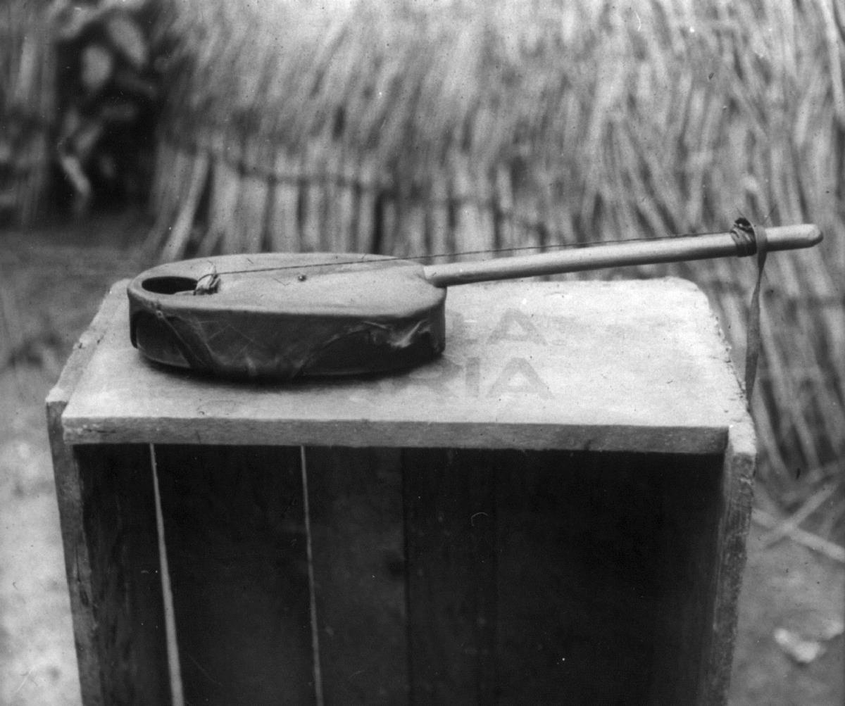 Saiteninstrument (kuntugi)