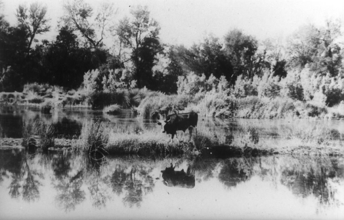 Stauweiher am Fischfluss