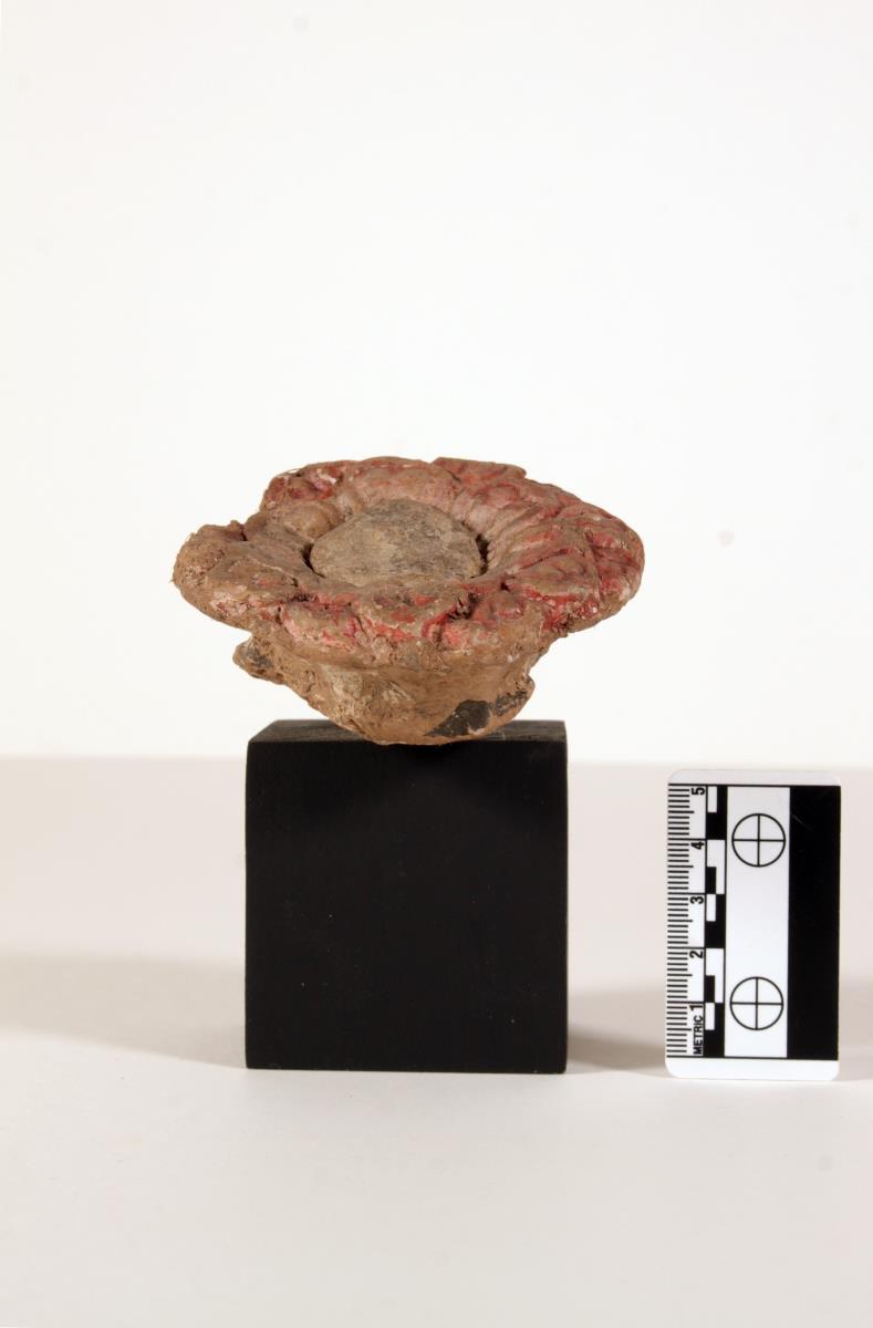 Große Lotusrosette