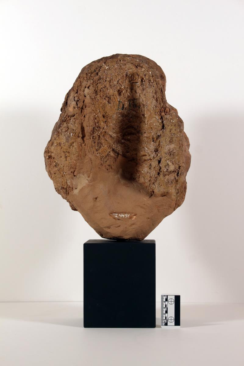 Kopf eines Bodhisattva
