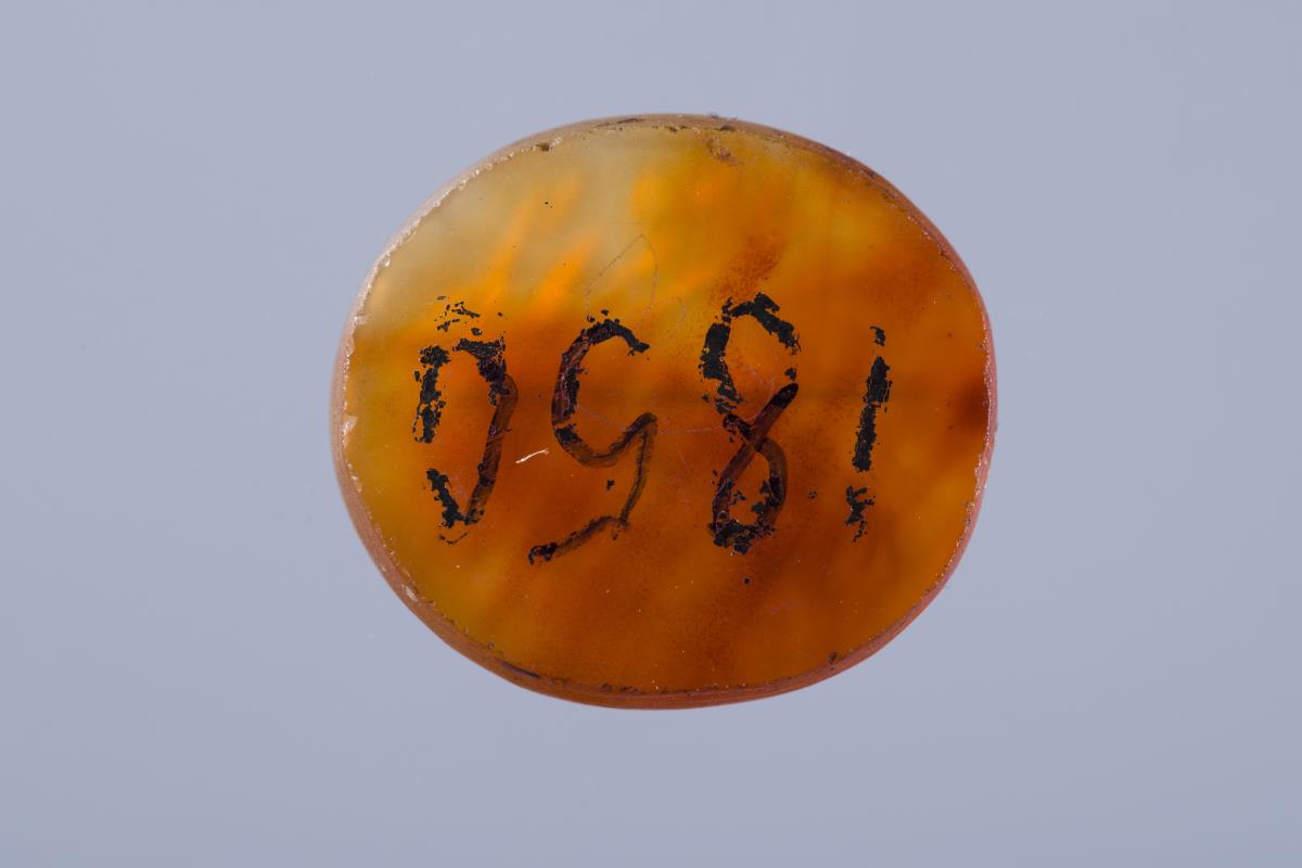 VA 1850
