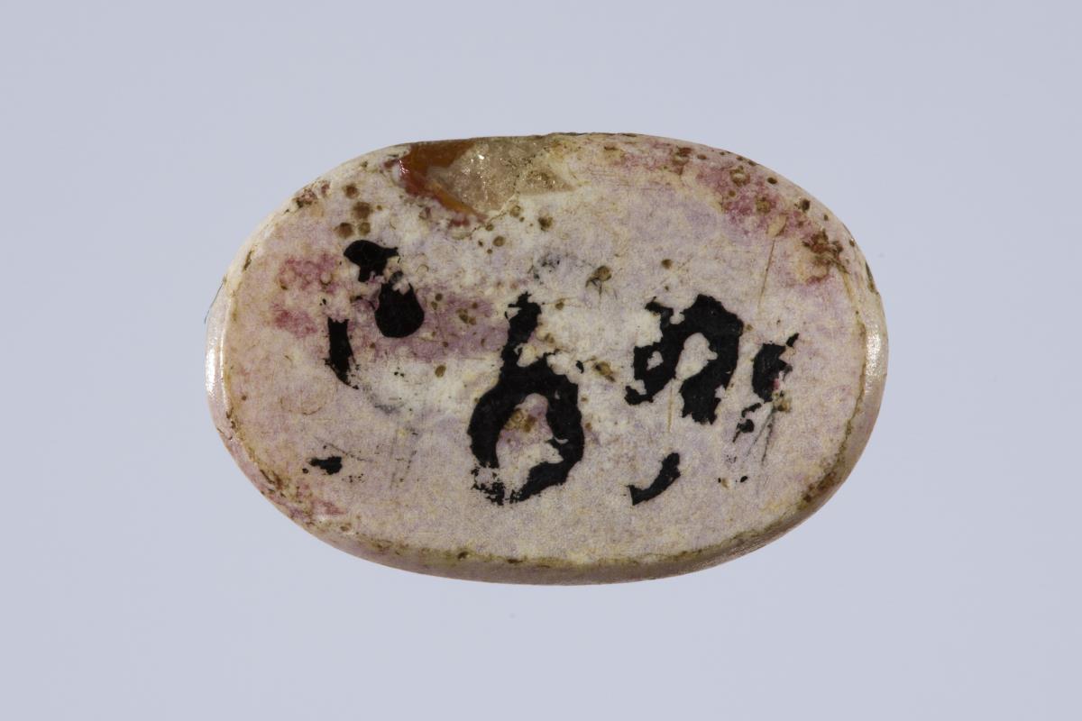 VA 1695