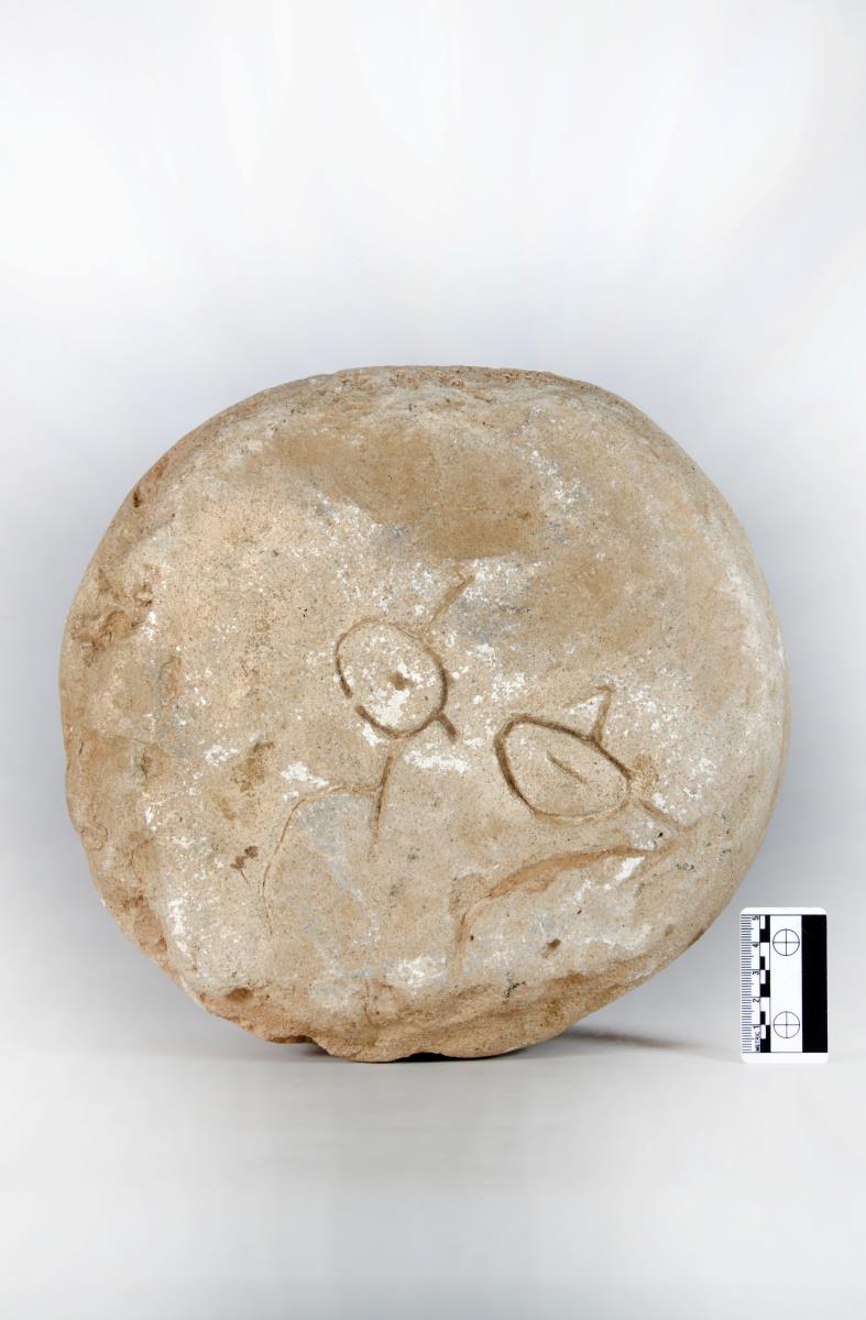 Form für Pferdekopf und Wedel