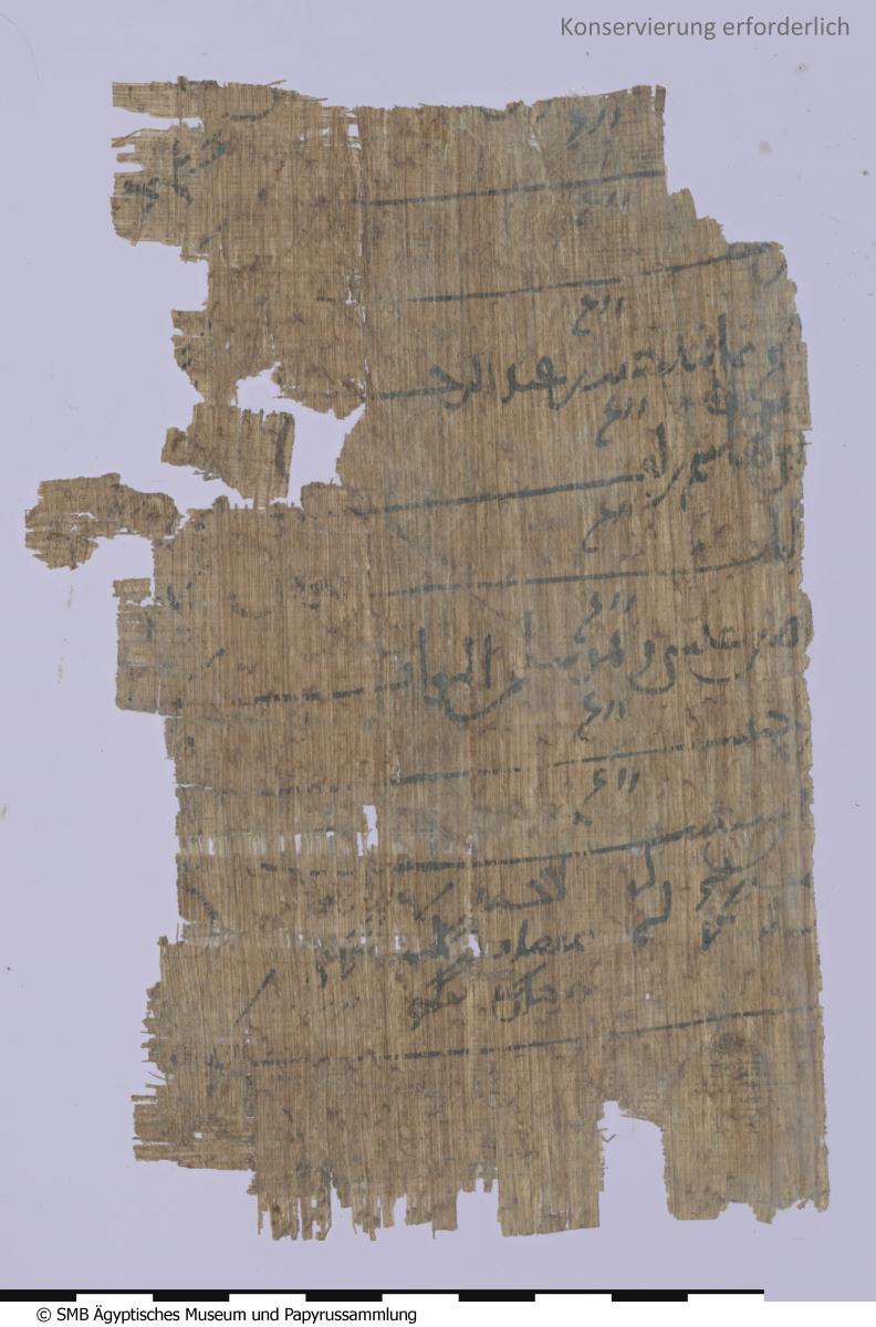 Arabischer Papyrus mit einer Quittung über die Weidelandsteuer (Verso)