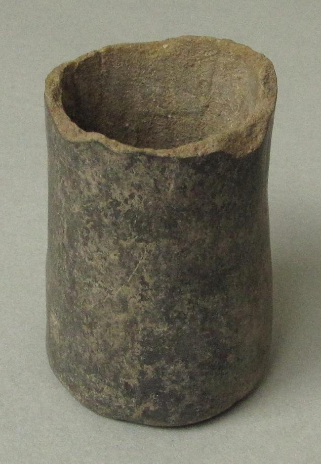 IV Ca 2312