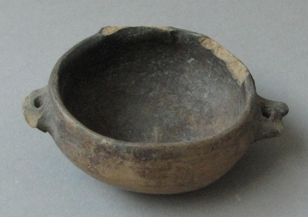 IV Ca 2313