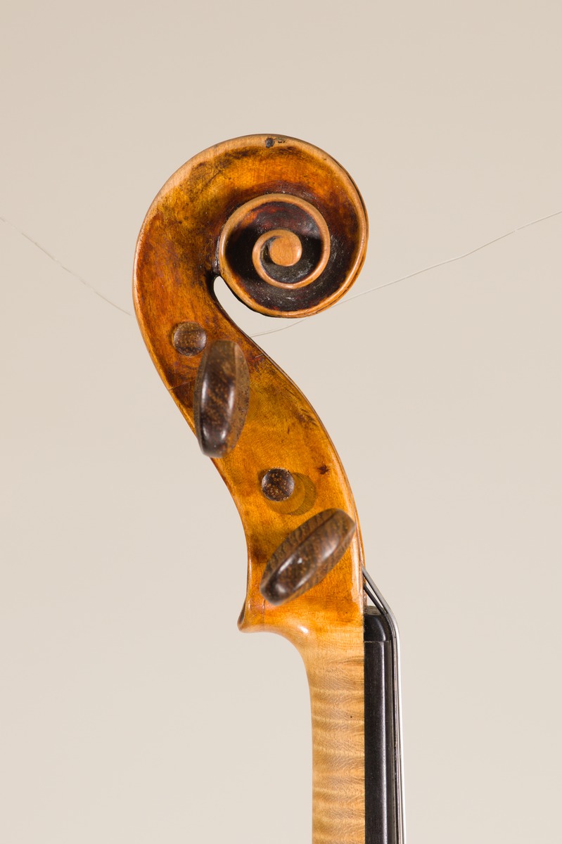 Violine