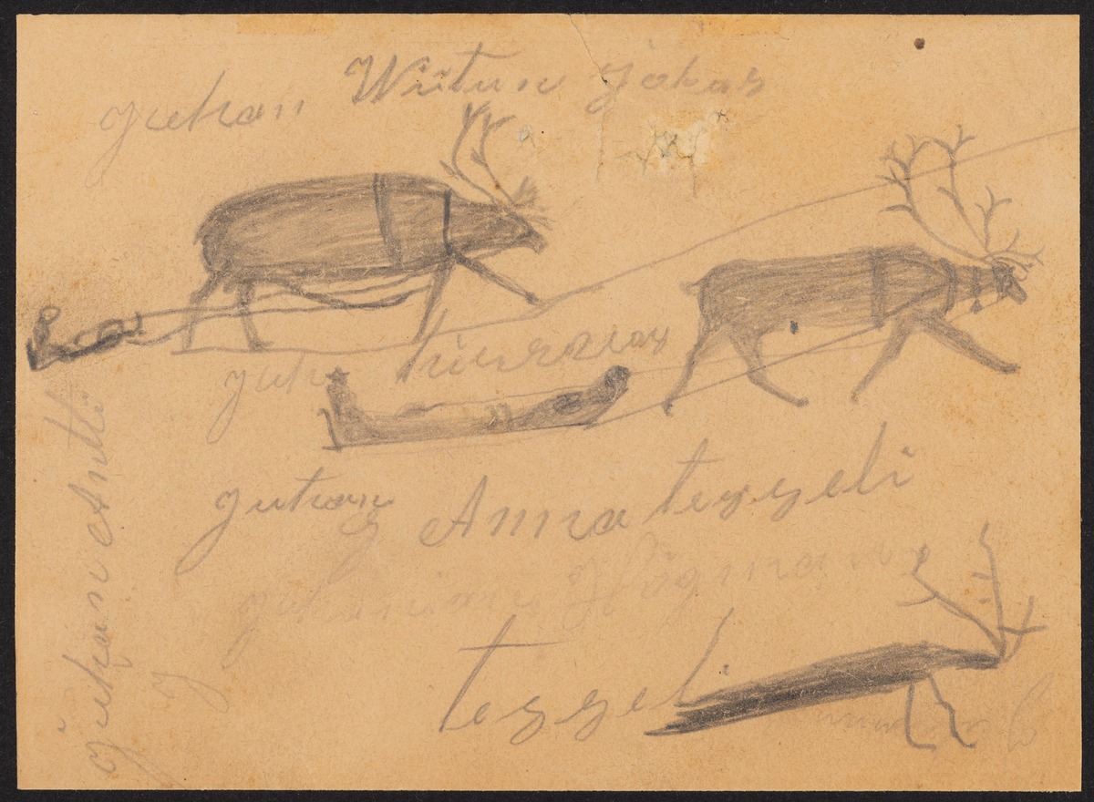 II C 1849 ,d