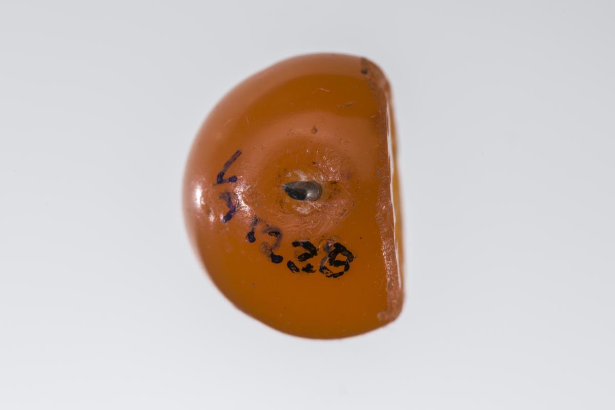 VA 1239