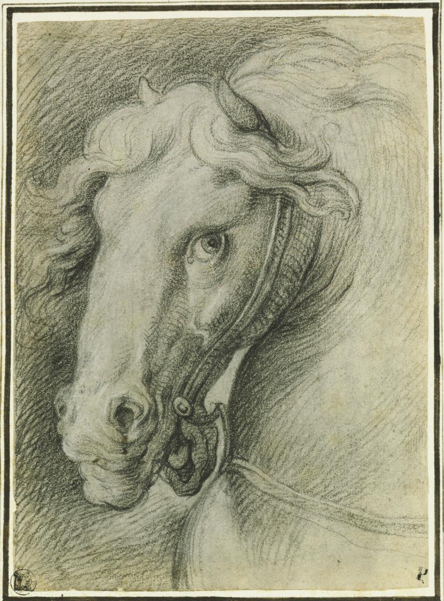 Studie für den Kopf des Pferdes von Tullus Hostilius (im Fresko "die Schlacht von Tullus Hostilius gegen die Vejer und Fidenäer")