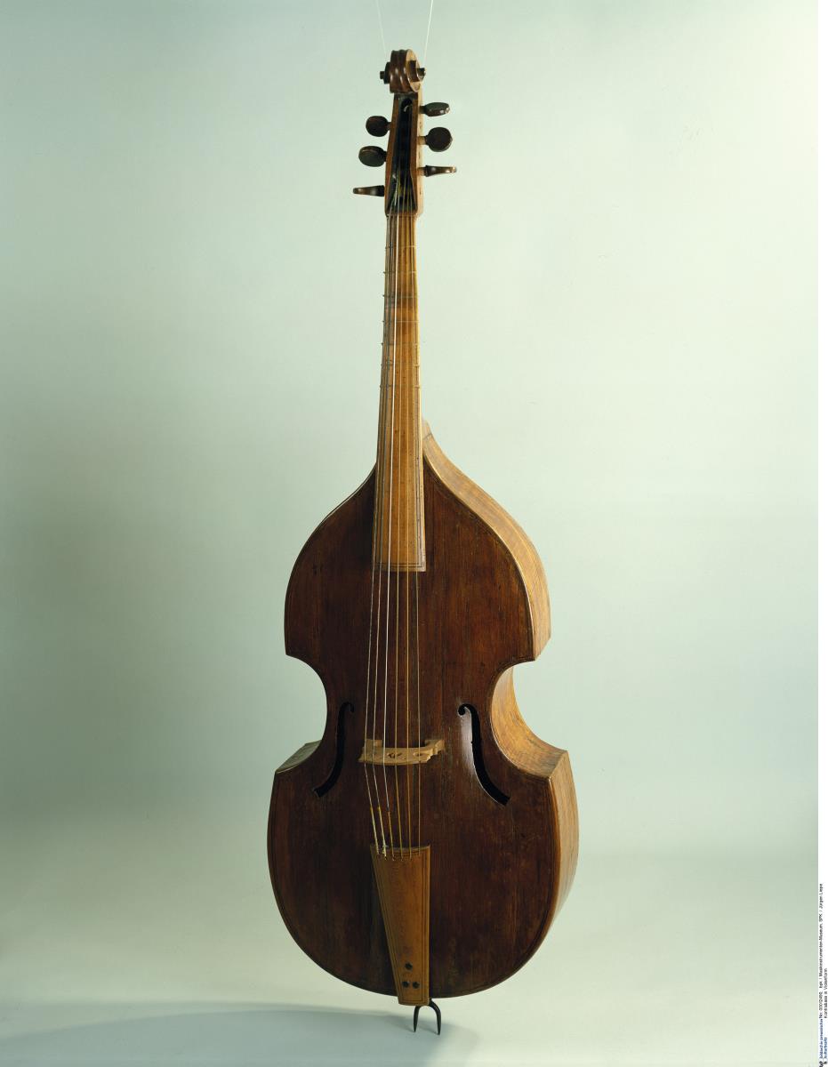 Kontrabass in Violenform