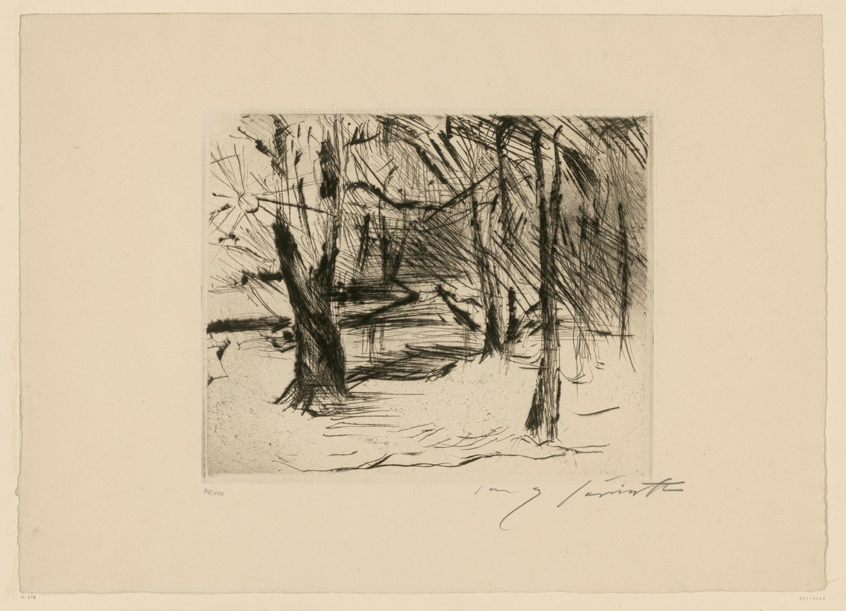 Bäume mit Sonne (Winter im TIergarten) (aus: Der Tiergarten)