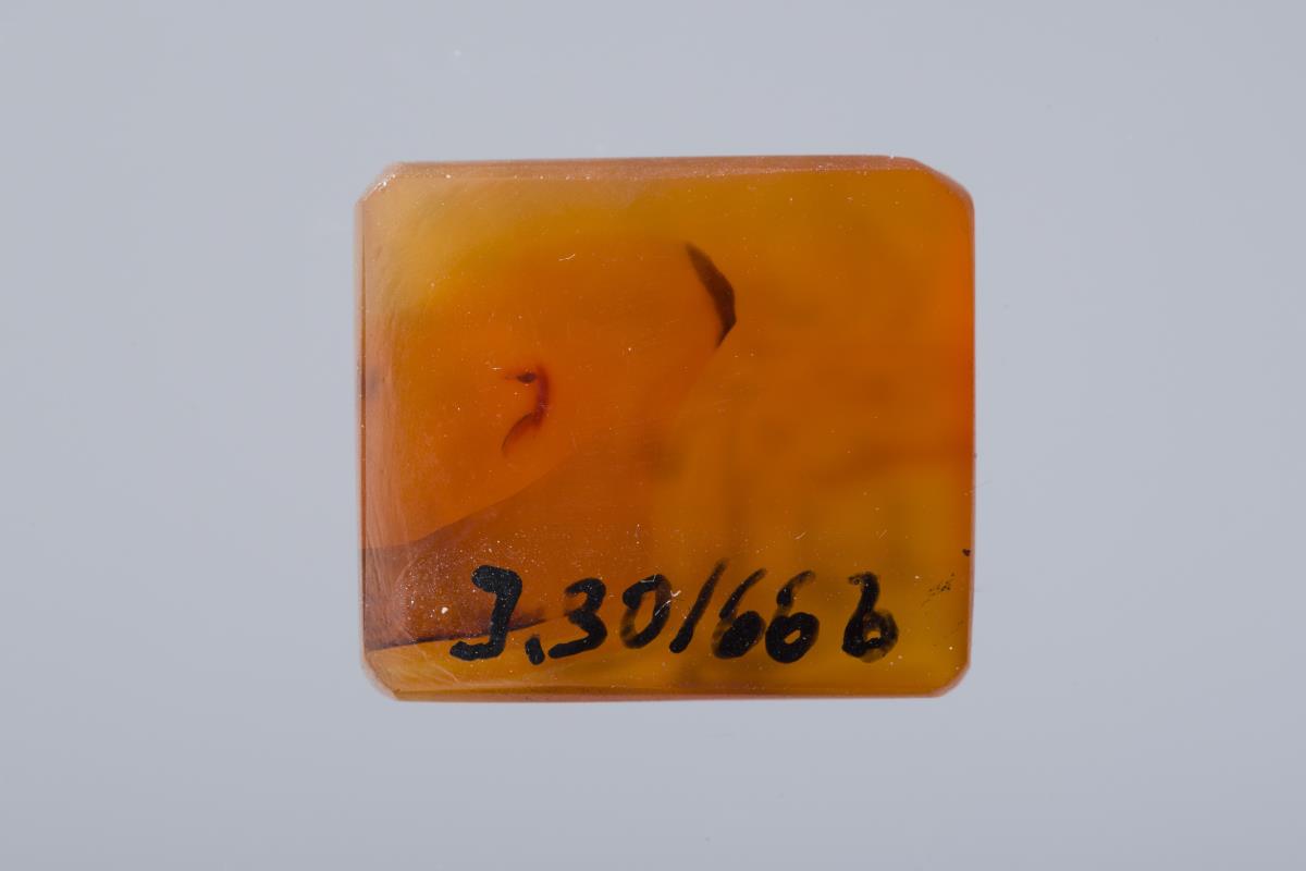 I. 30/66 b