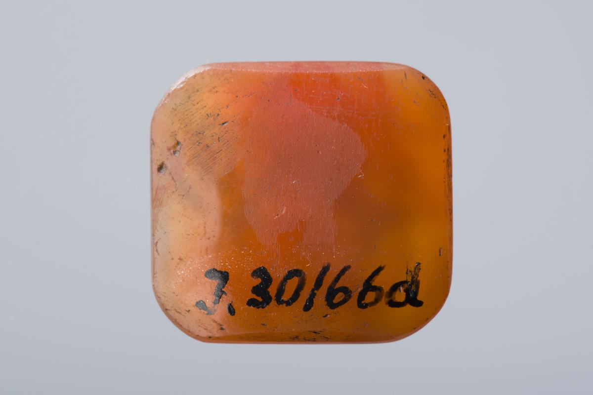 I. 30/66 d