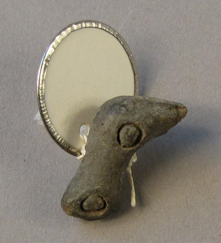 doppelter Vogelkopf