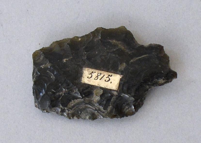 VII E 6341