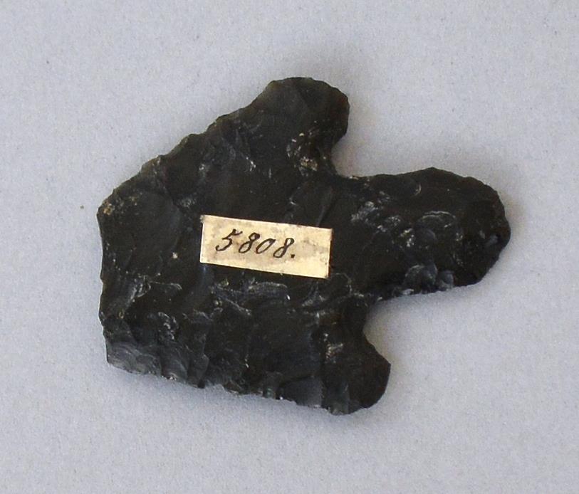 VII E 6334
