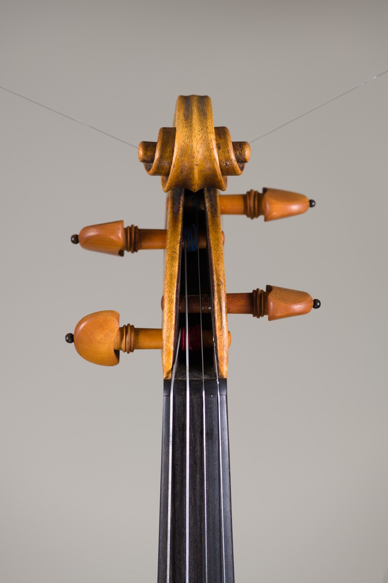 Violine