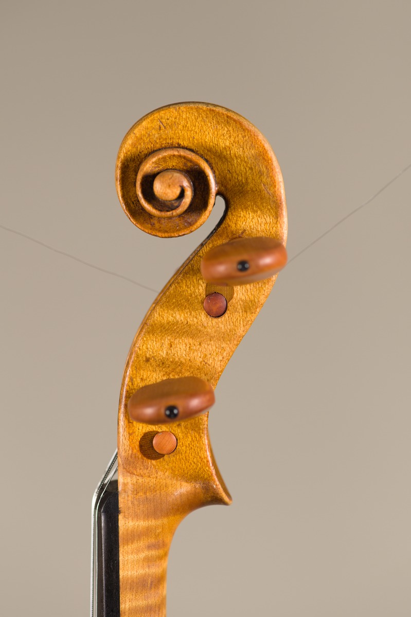 Violine