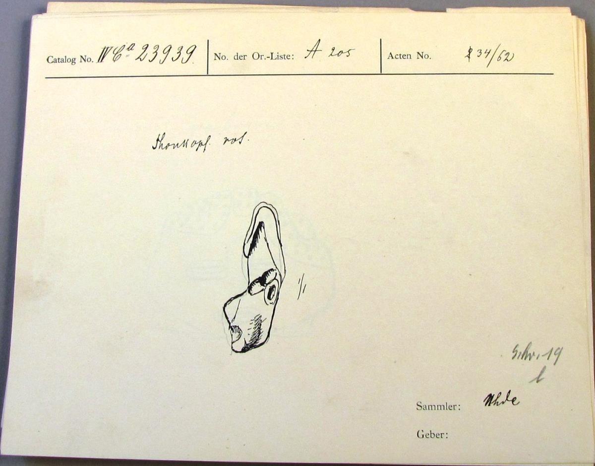 IV Ca 23939