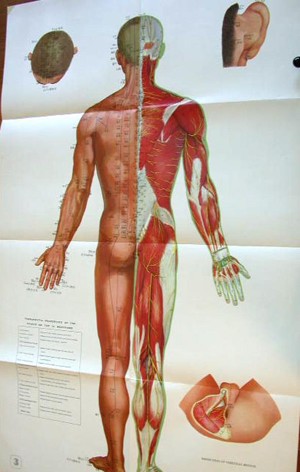 I D 47787 a-f