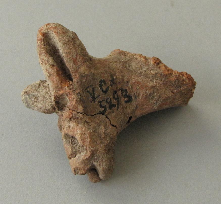 V C 5293