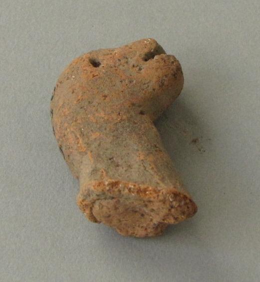 Vogelkopf