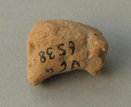 V C 6538