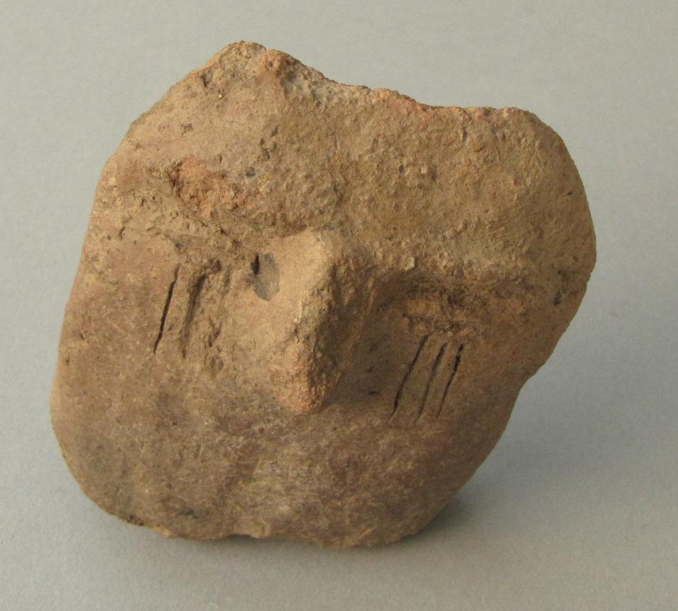 V C 5195