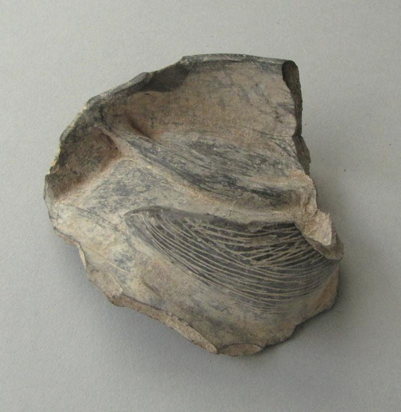 V C 2344 a