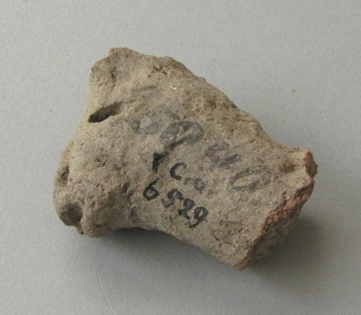 V C 6529