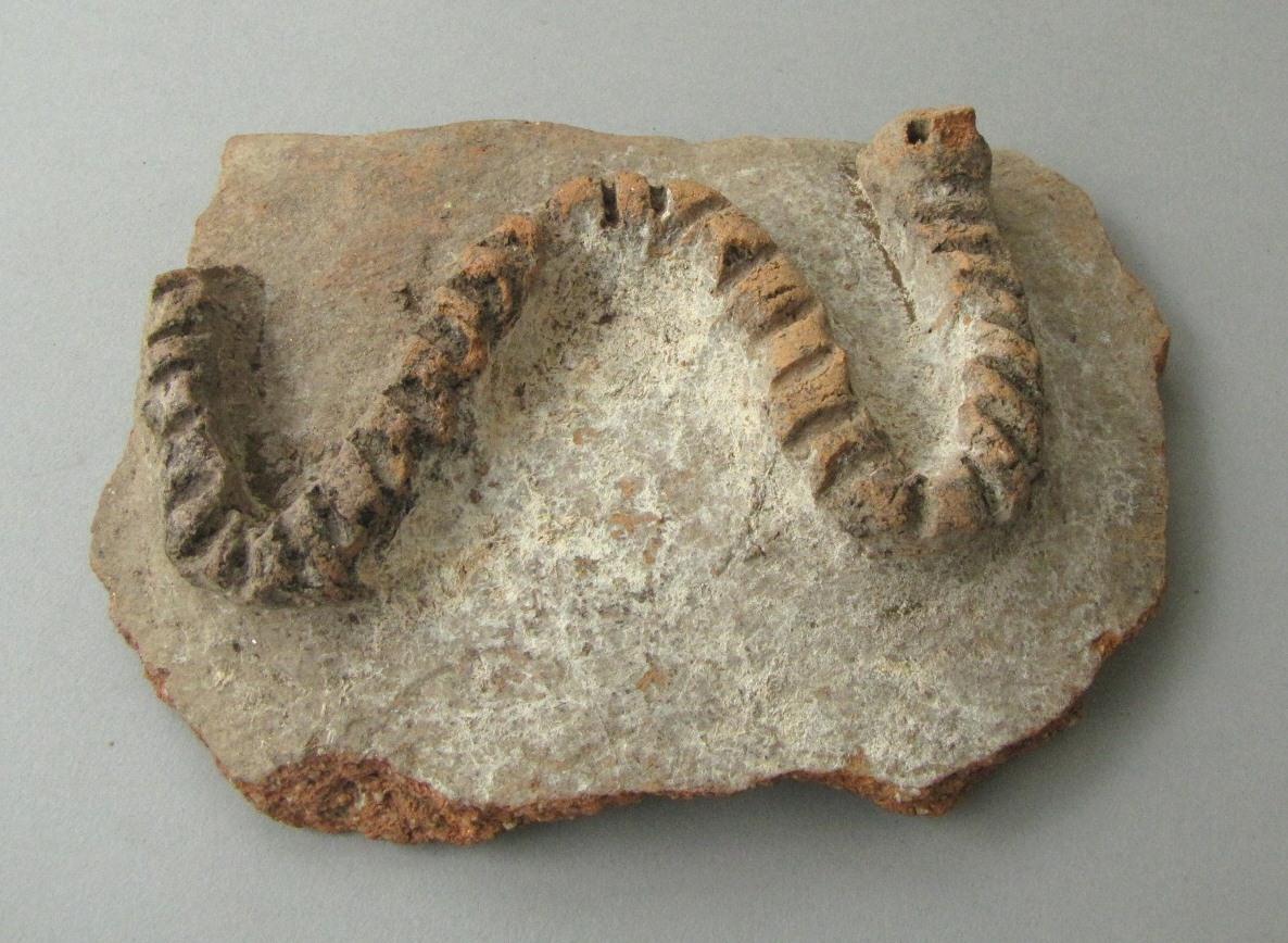 V C 5194
