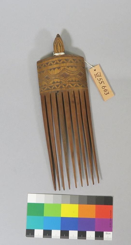 VI 55663
