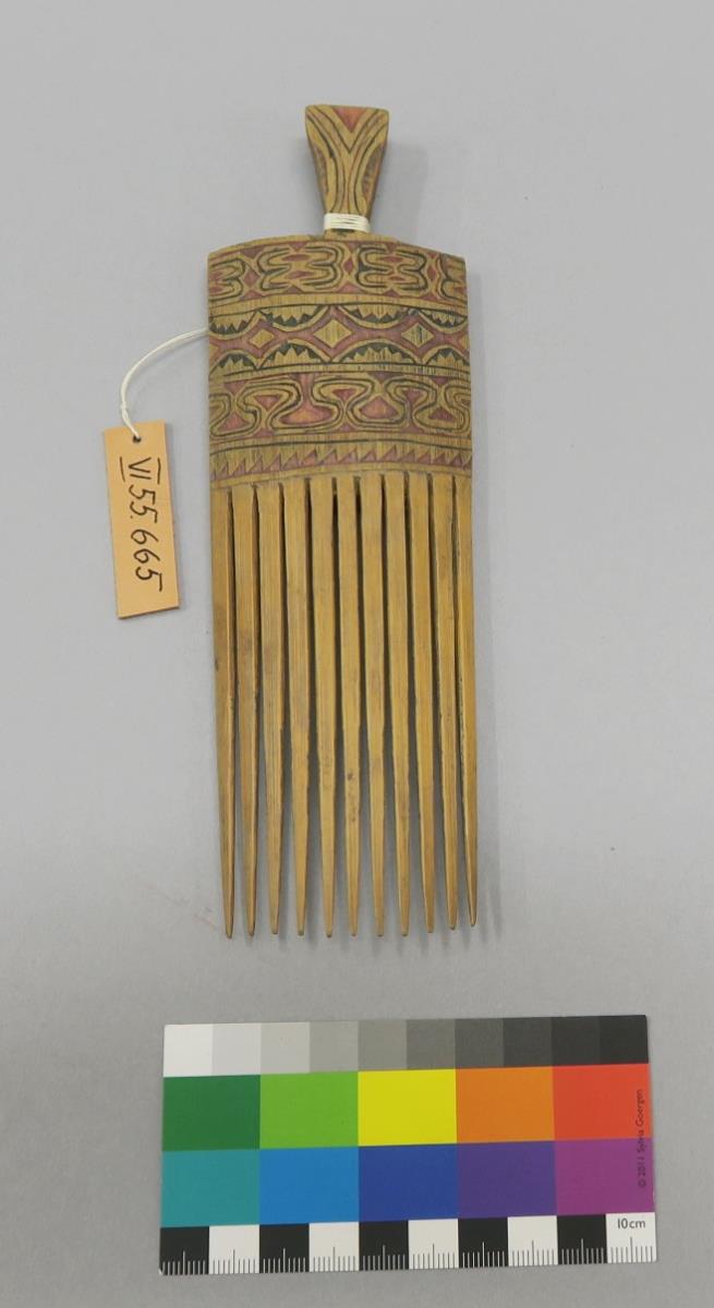 VI 55665