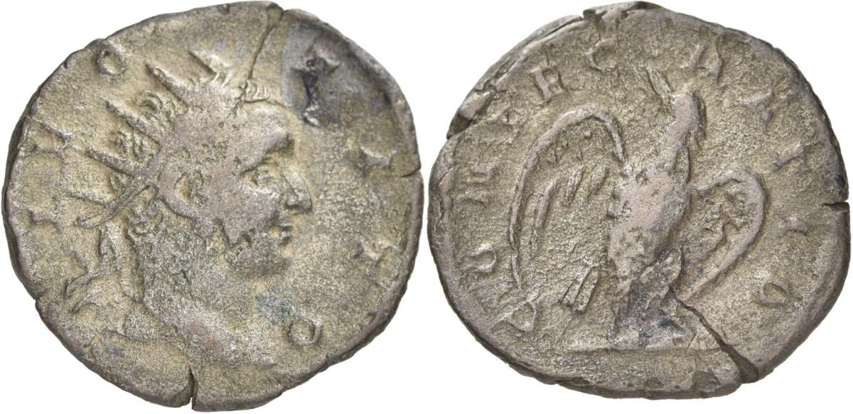 Divi: Divus Titus