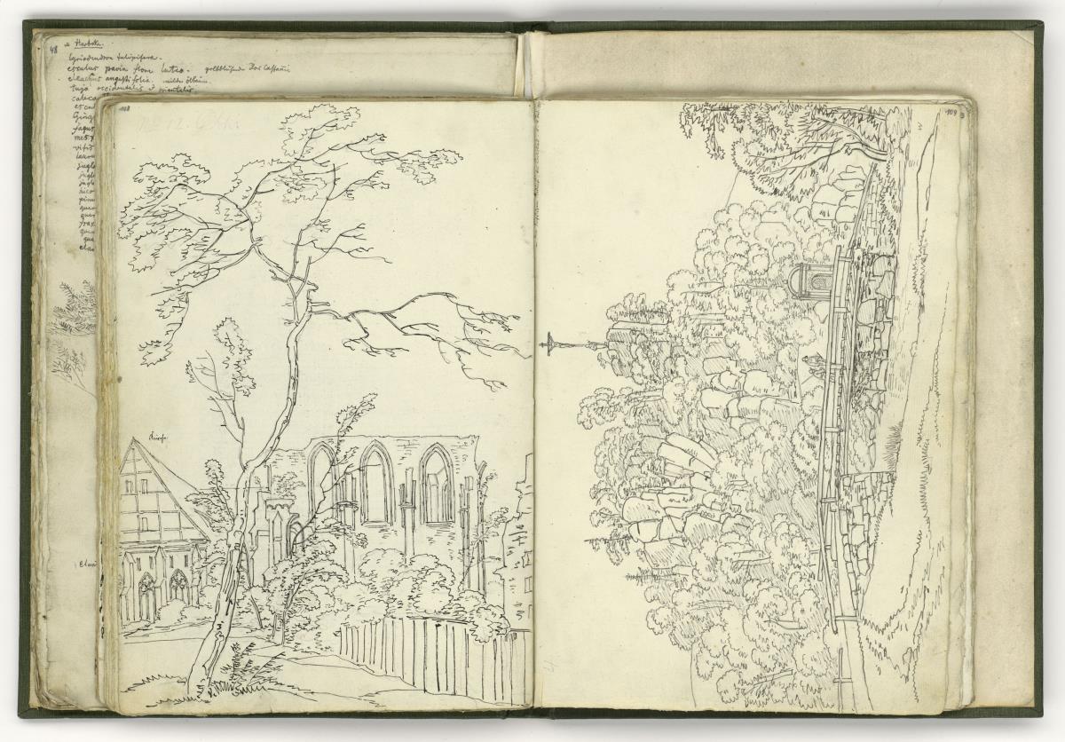 Kloster Walkenried / Felsen bei Karlsbad