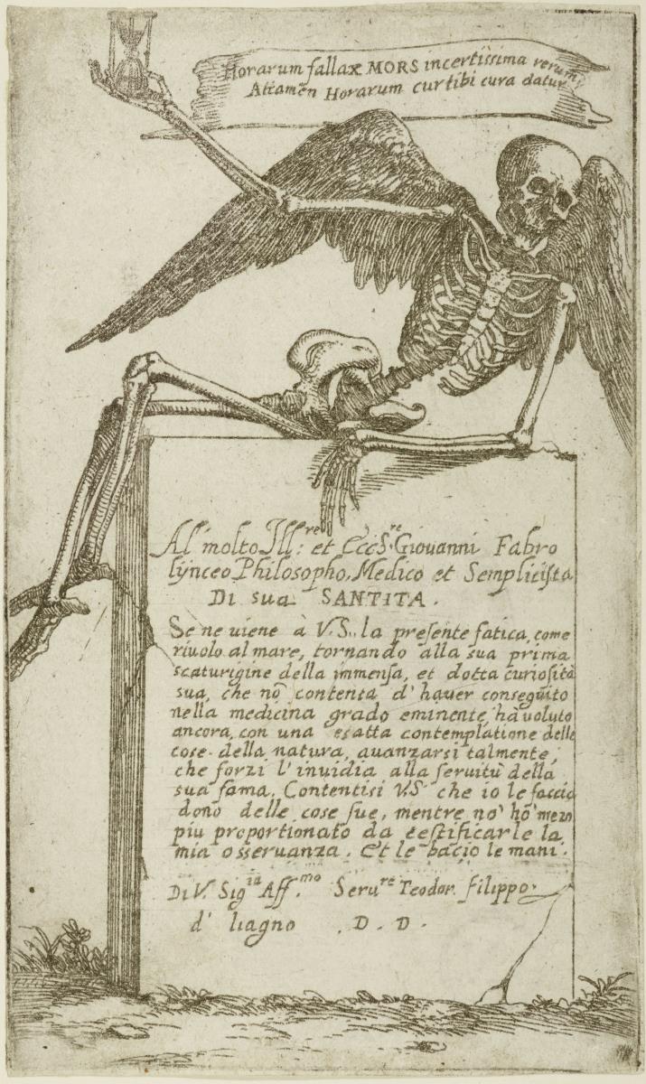 Frontispiz mit Widmung an den Linceo Johannes Faber aus Bamberg -  geflügeltes menschliches Skelett mit einer Sanduhr (der Tod), aus: (Gli Scheletri)