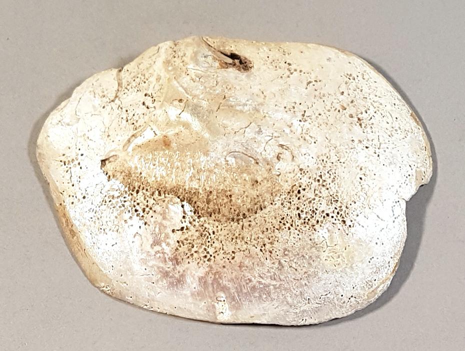 VII E 7735