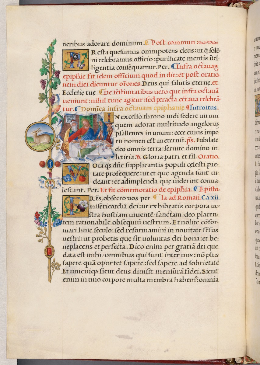 Christus im Hause des Simon, Randleiste mit Weinranke und liegendem Hasen (aus Missale Romanum, geschrieben für Giulio de'Medici (Papst Clemens VII.))