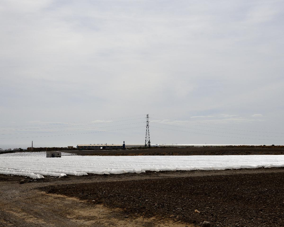 Agrarlandschaft bei Aguilas
