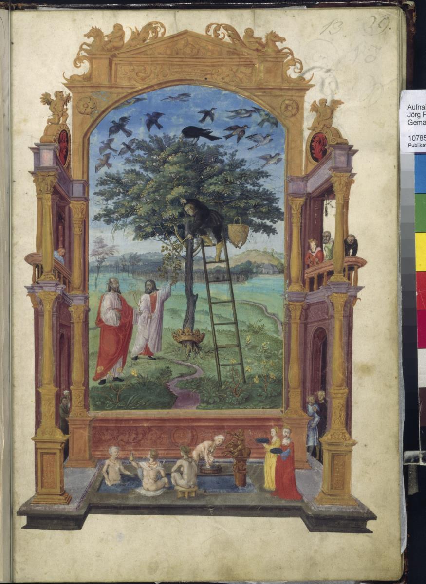 Splendor Solis oder Sonnenglanz - Philosophischer Baum