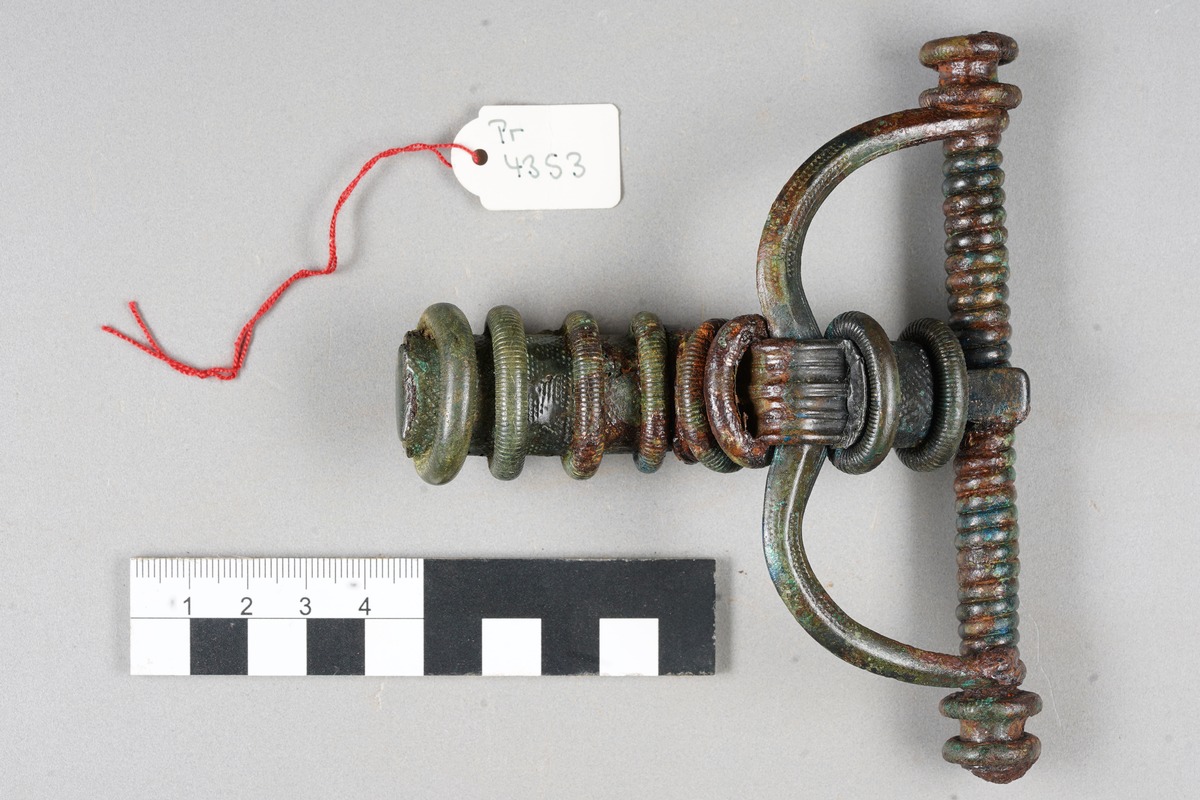Sprossenfibel