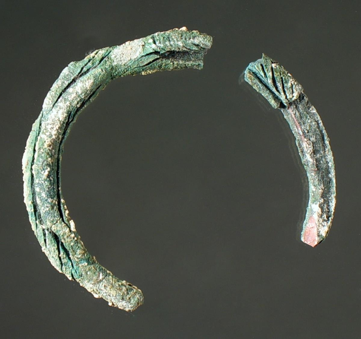 "Bruchstücke eines Rings"