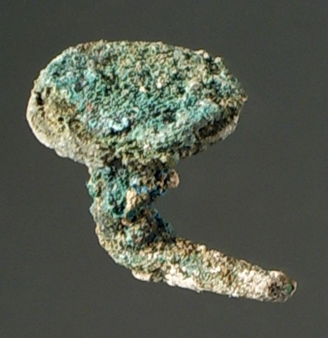 Kleiner Nagel