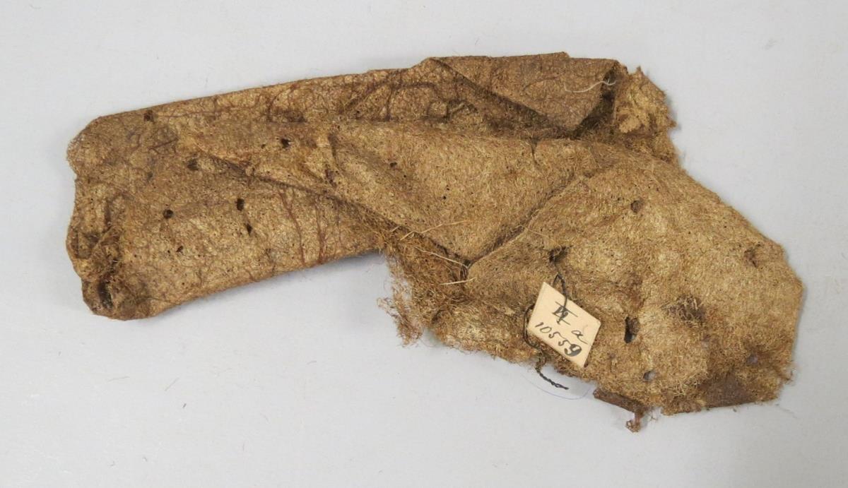 VI 10559 a